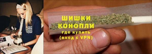 индика Верея