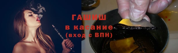 индика Верея